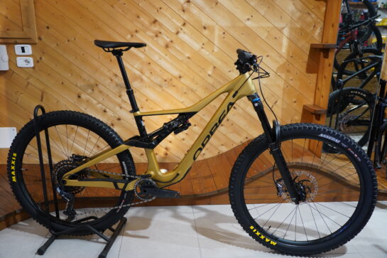 Orbea RALLON M10-Bagnoli Bike