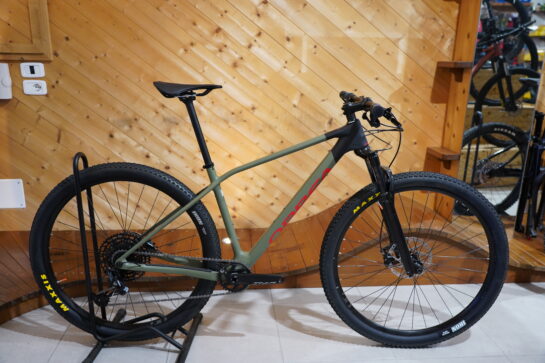 Orbea ALMA M50-Bagnoli Bike