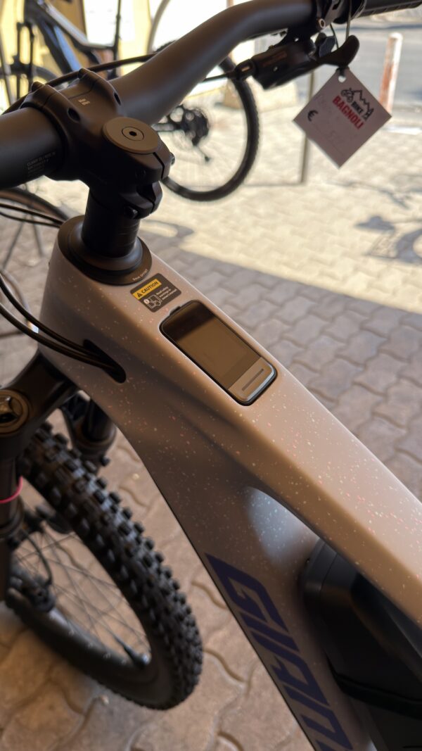 GIANT Reign E+2 Full Carbon