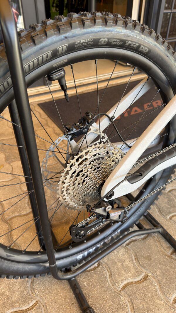 GIANT Reign E+2 Full Carbon