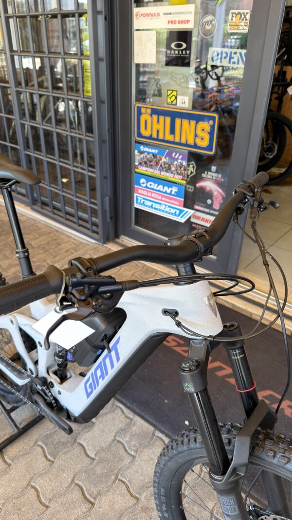 GIANT Reign E+2 Full Carbon